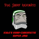 A real ripper written for our friend Kyle from the Green Reflectors!http://thesurfhermits.bandcamp.com