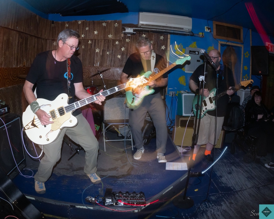 Twangstock 2026 - Agent Octopus!!!