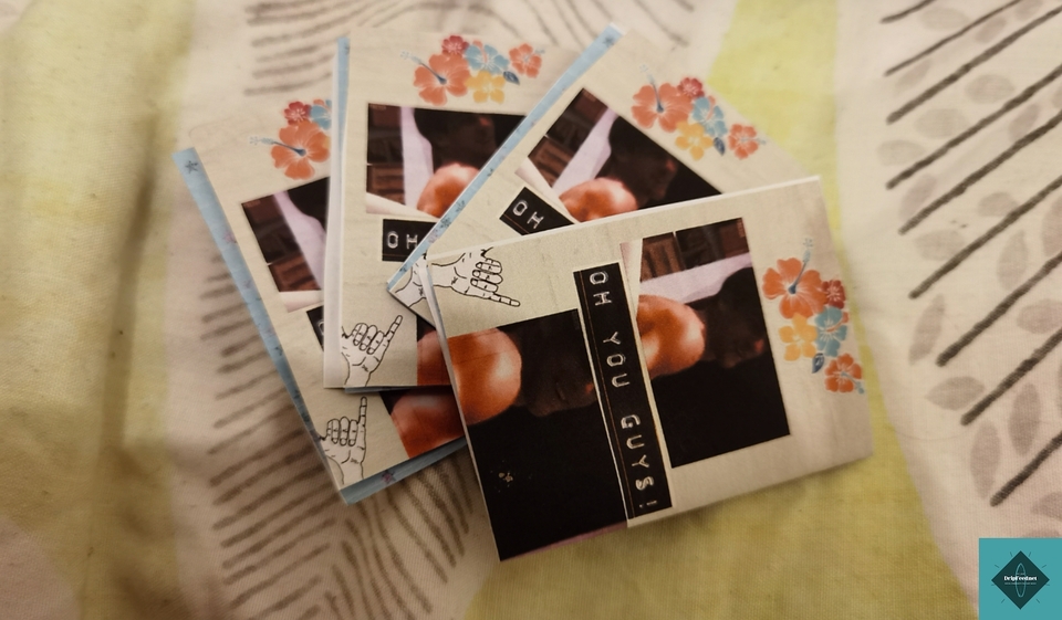 Promo pics with mock up mini zines.