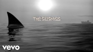 The Seismics - Next Wave